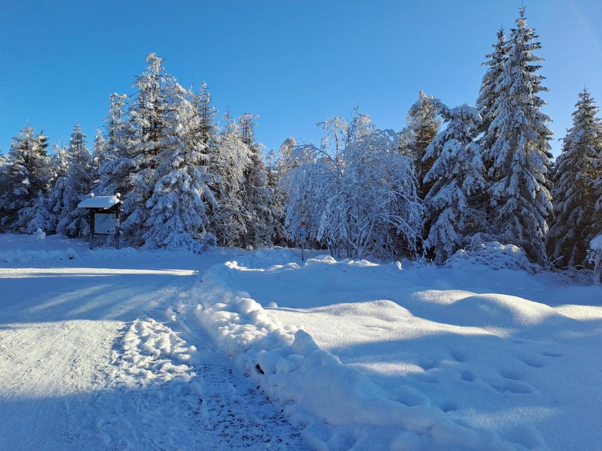 Wohnen Wie Bei Freunden Braunlage Extérieur photo